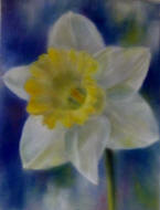 Pastellbilder Gabriele Meier, fr�hling